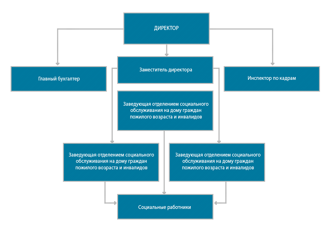 Структура АНО «Соцработник»